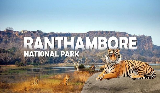 Ranthambore-National-Park